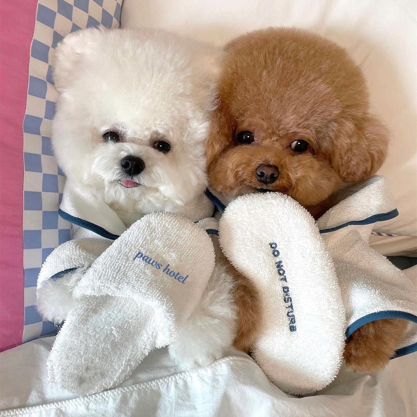 Pamper Your Pet with Our Luxurious Bath Towel Bathrobe!